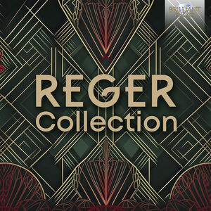 Reger Collection , Heinz Schunk