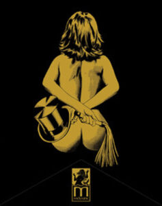 Naked Came the Stranger