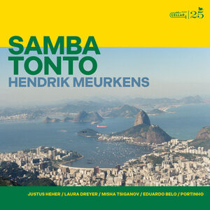Samba Tonto , Hendrik Meurkens