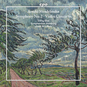 Symphony No. 2 & Violin Concerto , Ziling Guo