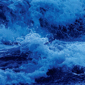 From Water , Doug Wieselman