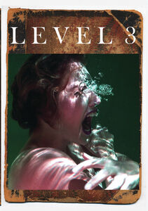 Level 3