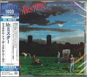 Welcome To The Real World (incl. 3 bonus tracks) [Import] , Mr Mister