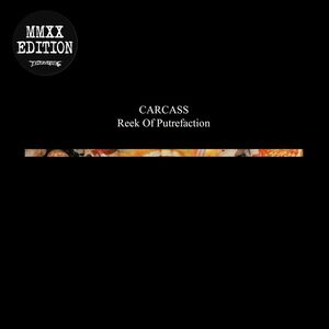 Reek Of Putrefaction , Carcass
