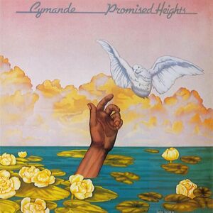 Promised Heights [Pink LP]