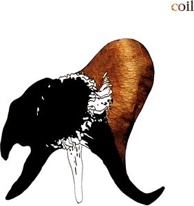 Black Antlers , Coil