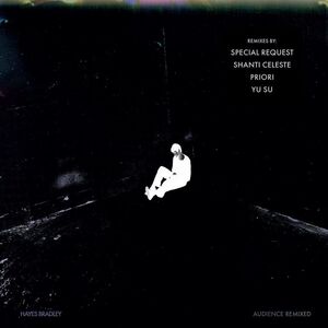 Audience (Remixed) , Hayes Bradley