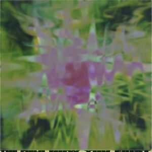 Now You Exist , The Field