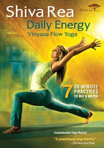 Daily Energy Flow