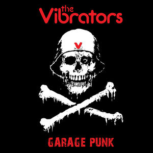 Garage Punk , The Vibrators