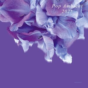 Pop Ambient 2025 , Various Artists