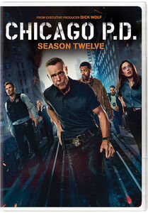 Chicago P.D.: Season Twelve , Jason Beghe