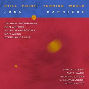 Still Point: Turning World , Joel Harrison