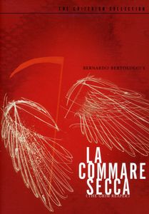 La Commare Secca (Criterion Collection)