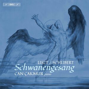 Schwanengesang , Can Cakmur
