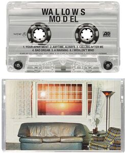 Model   (Cassette)