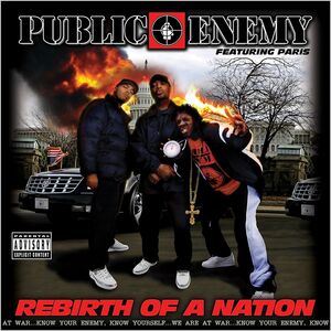 Rebirth of a Nation , Public Enemy