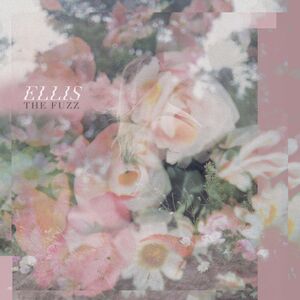 Fuzz , Ellis