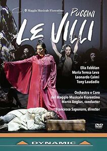 Villi