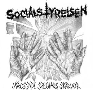 I Krossade Speglars Skarvor , Socialstyrelsen
