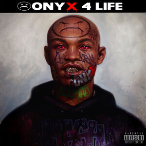 Onyx 4 Life - Silver