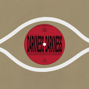 Darkness, Darkness / No Services , Kieran Hebden