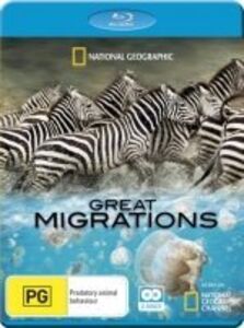 National Geographic: Great Migrations [Import]