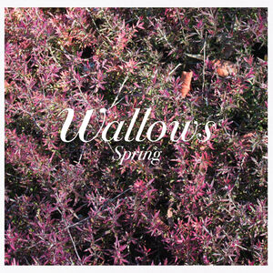 Spring , Wallows
