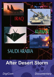 After Desert Storm
