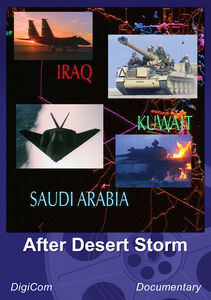After Desert Storm 