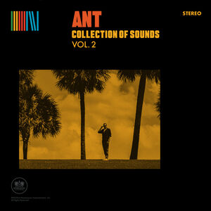 Collection of Sounds Vol. 2 - Yellow , Ant