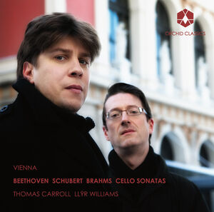 Vienna , Llyr Williams