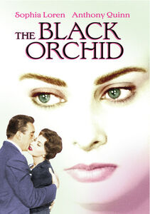 The Black Orchid