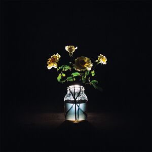 Renewal , Billy Strings