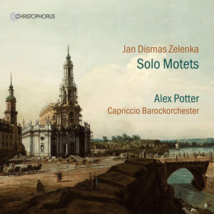 Solo Motetts , Alex Potter