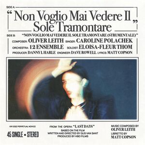 Non Voglio Mai Vedere , Caroline Polachek