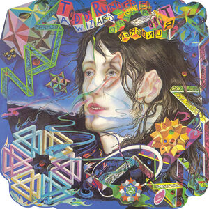 A Wizard/ A True , Todd Rundgren