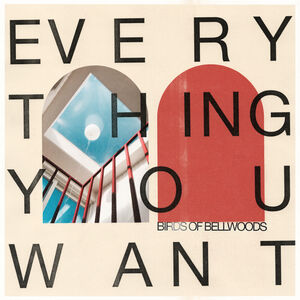 Everything You Want , Birds of Bellwoods