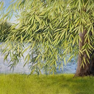 Nothing But Green Willow : The Songs Of Mary Sands And Jane Gentry , Martin Simpson