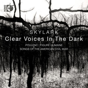 Clear Voices In The Dark , Skylark