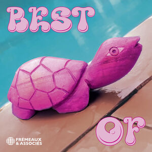 Best of , Pink Turtle