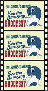 Buddyboy , Martin Shaw