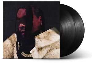 Everything Is A Lot. [Explicit Content]