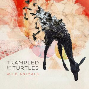 Wild Animals , Trampled by Turtles
