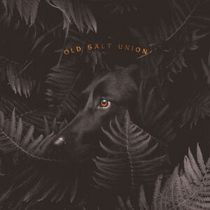 Where The Dogs Don't Bite , Old Salt Union