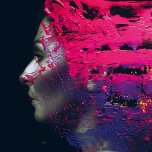 Hand.Cannot.Erase , Steve Wilson