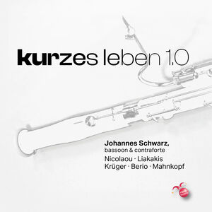 Kurzes Leben 1.0 , Johannes Schwarz