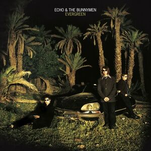 Evergreen , Echo & the Bunnymen