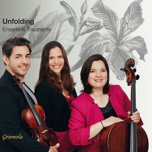 Unfolding , Ensemble Trisonante