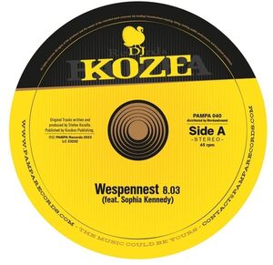 Wespennest , DJ Koze